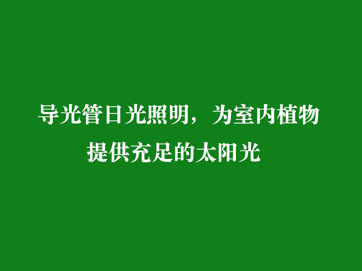 導(dǎo)光管日光照明，為室內(nèi)植物提供充足的太陽(yáng)光